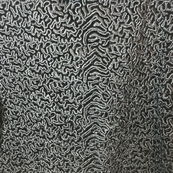 Vintage Black Persian Lamb Cropped Fur Jacket Mink Collar Womens 12 - Picture 7 of 15